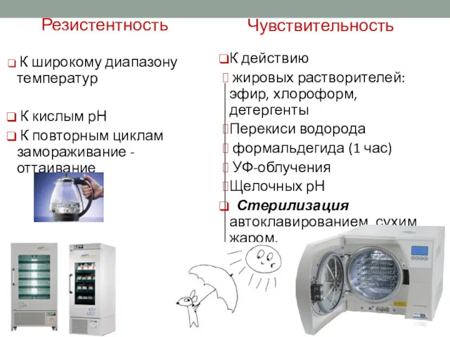 Резистентность К широкому диапазону температур К кислым рН К повторным