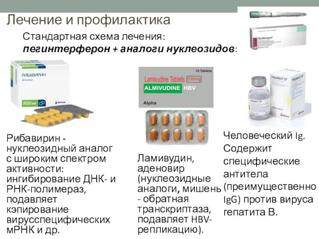 Лечение и профилактика Стандартная схема лечения: пегинтерферон + аналоги нуклеозидов: