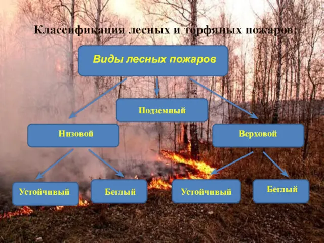 Подземный Классификация лесных и торфяных пожаров: Виды лесных пожаров Низовой Верховой Устойчивый Беглый Устойчивый Беглый