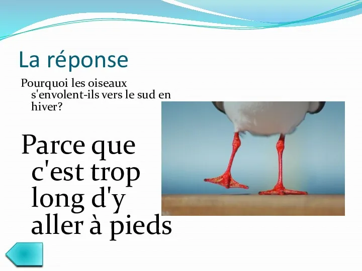 La réponse Pourquoi les oiseaux s'envolent-ils vers le sud en