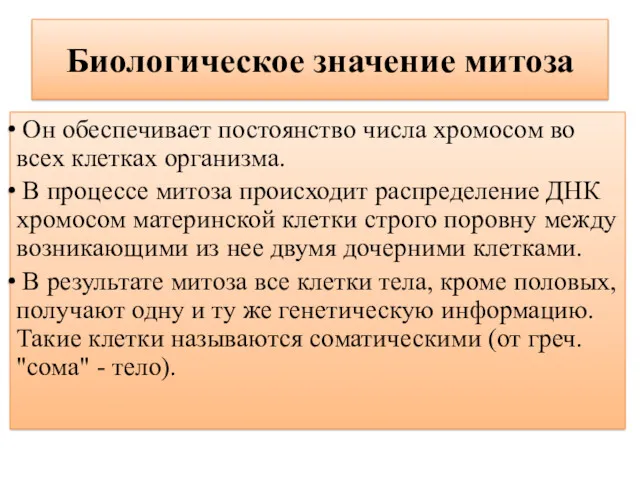 Биологическое значение митоза Он обеспечивает постоянство числа хромосом во всех