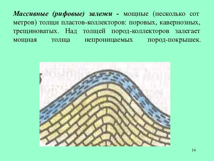 Массивные (рифовые) залежи - мощные (несколько сот метров) толщи пластов-коллекторов: