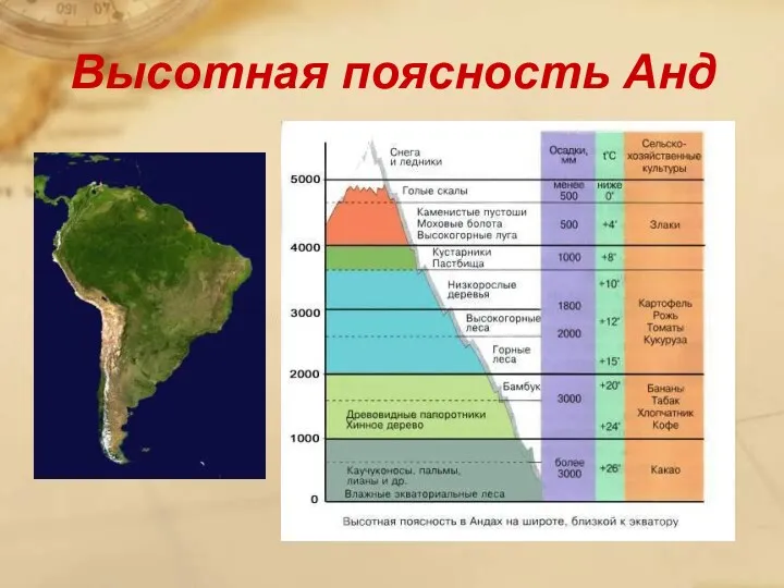 Высотная поясность Анд