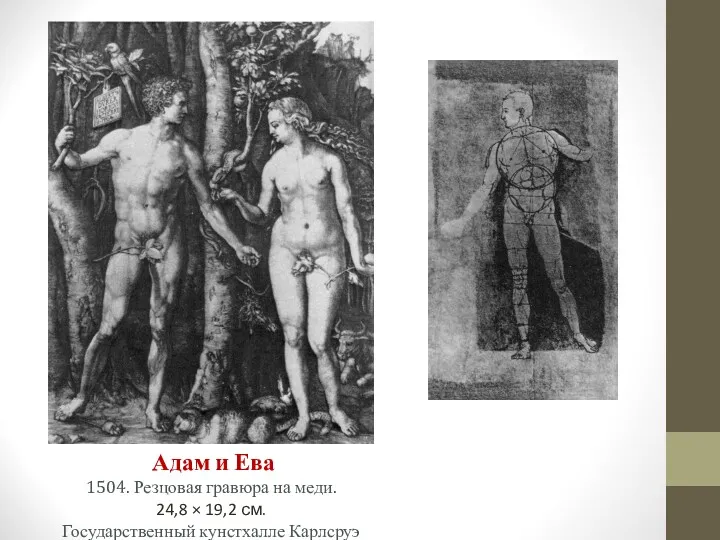 Адам и Ева 1504. Резцовая гравюра на меди. 24,8 × 19,2 см. Государственный кунстхалле Карлсруэ