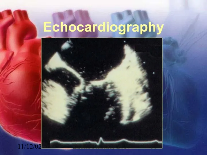 11/12/02 Lubna Piracha, D.O. Echocardiography