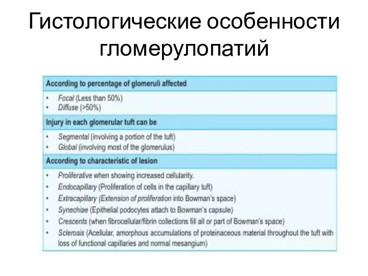 Гистологические особенности гломерулопатий