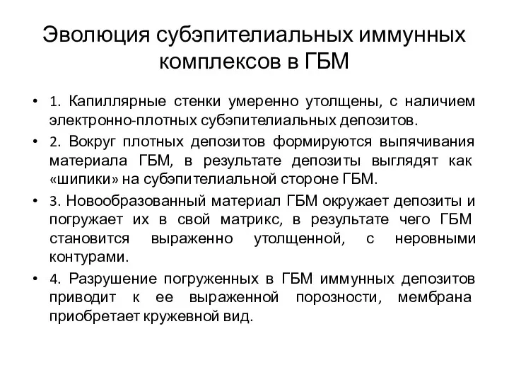 Эволюция субэпителиальных иммунных комплексов в ГБМ 1. Капиллярные стенки умеренно