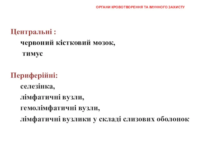 ОРГАНИ КРОВОТВОРЕННЯ ТА ІМУННОГО ЗАХИСТУ Центральні : червоний кістковий мозок,