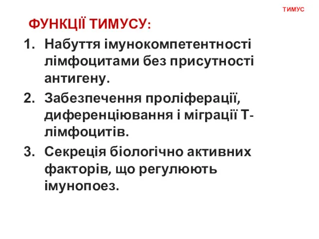 ТИМУС ФУНКЦІЇ ТИМУСУ: Набуття імунокомпетентності лімфоцитами без присутності антигену. Забезпечення