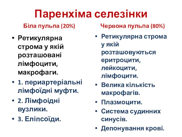 Паренхіма селезінки Біла пульпа (20%) Ретикулярна строма у якій розташовані