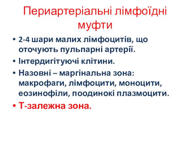 Периартеріальні лімфоїдні муфти 2-4 шари малих лімфоцитів, що оточують пульпарні