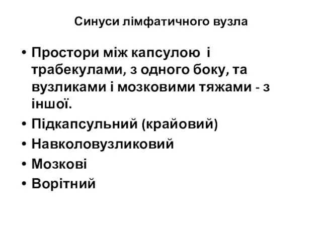 Синуси лімфатичного вузла Простори між капсулою і трабекулами, з одного