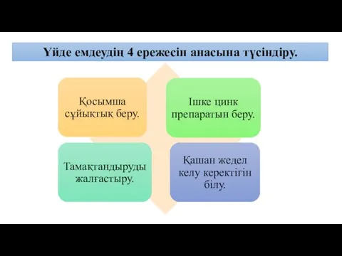 Үйде емдеудің 4 ережесін анасына түсіндіру.