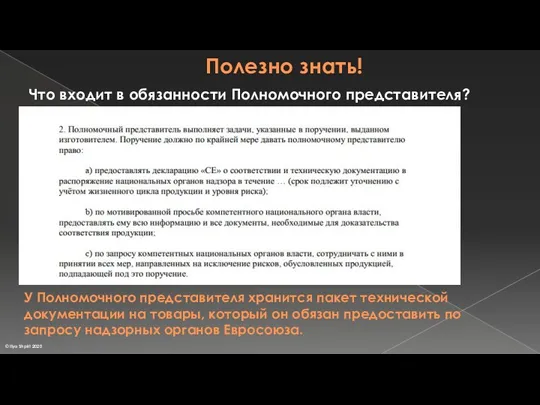 Полезно знать! Что входит в обязанности Полномочного представителя? У Полномочного