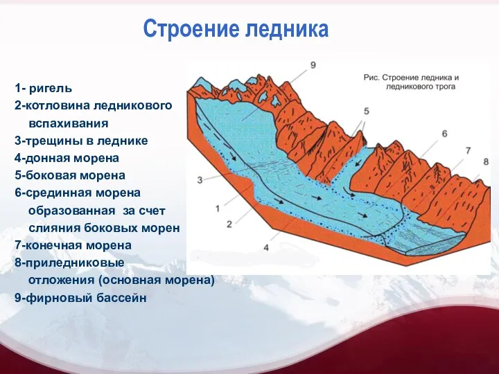 Строение ледника 1- ригель 2-котловина ледникового вспахивания 3-трещины в леднике