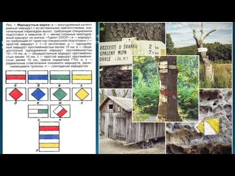Туристская маркировка – это система специальных условных обозначений, которые наносятся