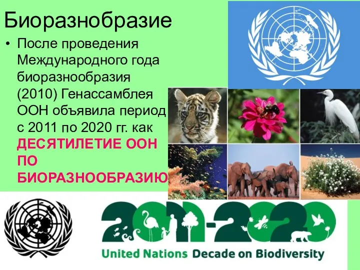 Биоразнобразие После проведения Международного года биоразнообразия (2010) Генассамблея ООН объявила