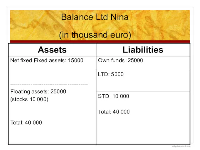 Balance Ltd Nina (in thousand euro) rudy@aernoudt.com