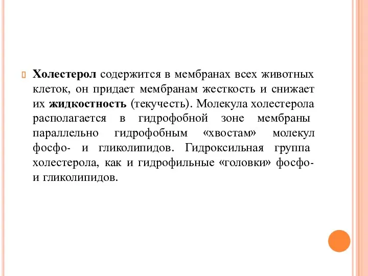 Холестерол содержится в мембранах всех животных клеток, он придает мембранам