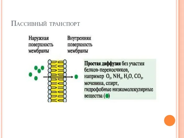 Пассивный транспорт