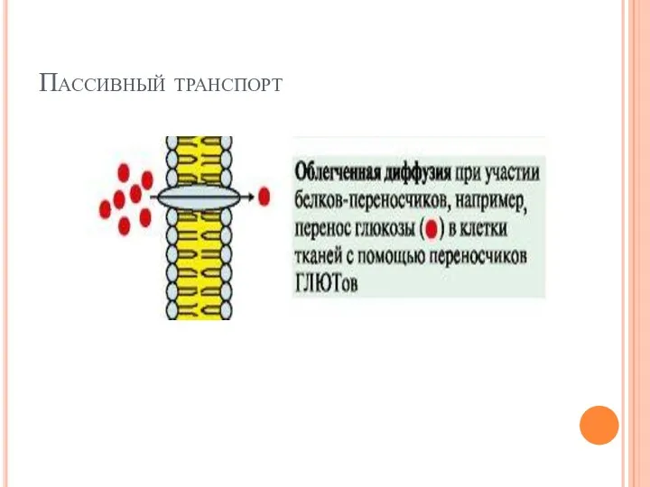 Пассивный транспорт