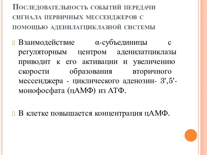 Последовательность событий передачи сигнала первичных мессенджеров с помощью аденилатциклазной системы