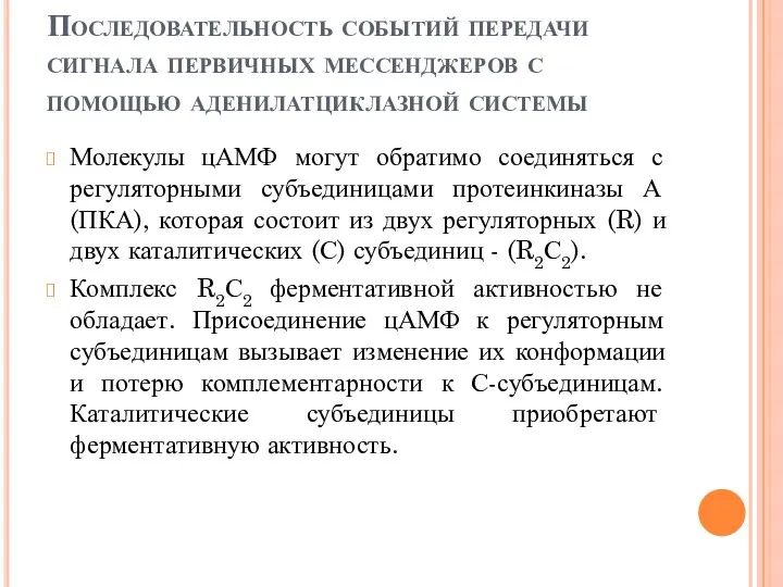 Последовательность событий передачи сигнала первичных мессенджеров с помощью аденилатциклазной системы