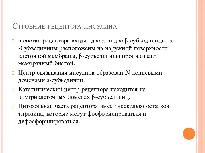 Строение рецептора инсулина в состав рецептора входят две α- и