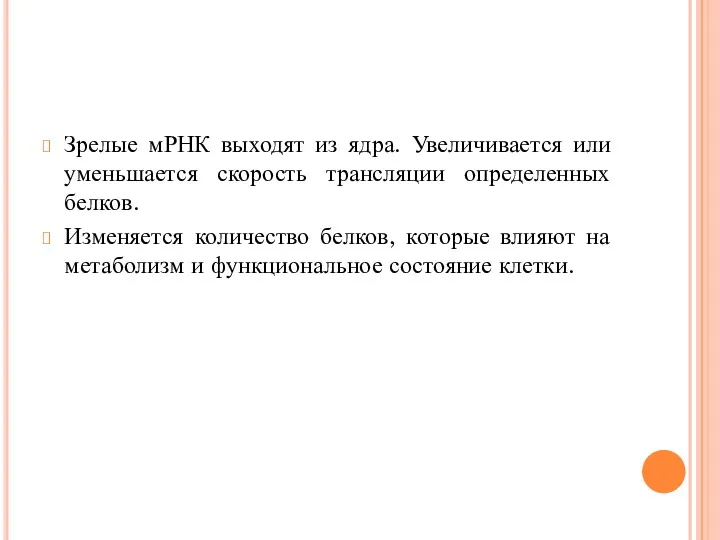 Зрелые мРНК выходят из ядра. Увеличивается или уменьшается скорость трансляции