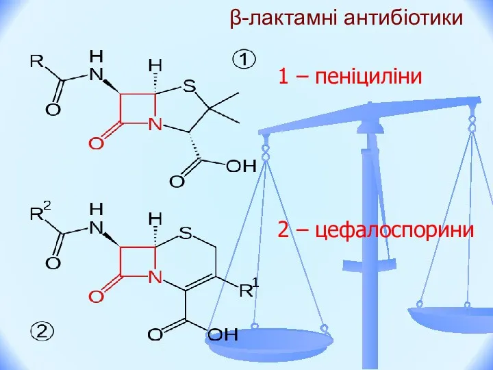 β-лактамні антибіотики 1 – пеніциліни 2 – цефалоспорини