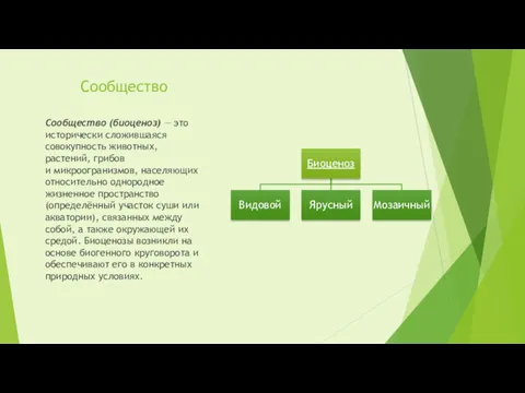 Сообщество Сообщество (биоценоз) — это исторически сложившаяся совокупность животных, растений,