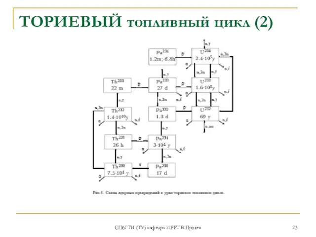 СПбГТИ (ТУ) кафедра ИРРТ В.Прояев ТОРИЕВЫЙ топливный цикл (2)