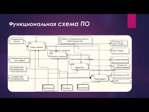 Функциональная схема ПО