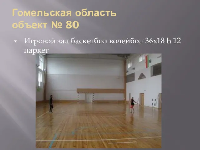 Гомельская область объект № 80 Игровой зал баскетбол волейбол 36х18 h 12 паркет