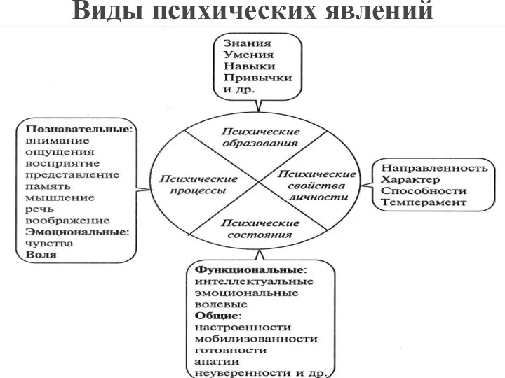 Виды психических явлений