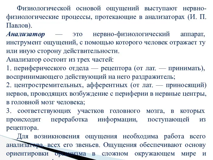 Физиологической основой ощущений выступают нервно-физиологические процессы, протекающие в анализаторах (И.