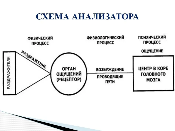 СХЕМА АНАЛИЗАТОРА