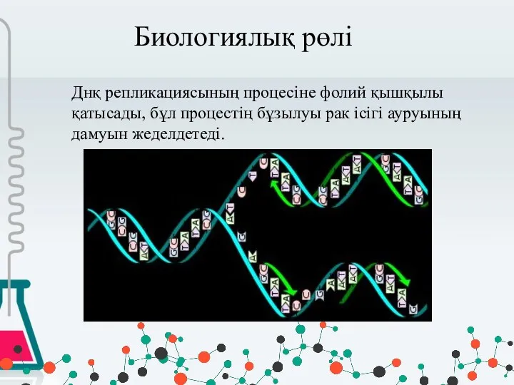 Биологиялық рөлі Днқ репликациясының процесіне фолий қышқылы қатысады, бұл процестің бұзылуы рак ісігі ауруының дамуын жеделдетеді.