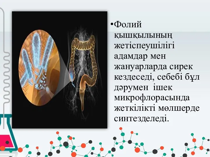 Фолий қышқылының жетіспеушілігі адамдар мен жануарларда сирек кездеседі, себебі бұл дәрумен ішек микрофлорасында жеткілікті мөлшерде синтезделеді.