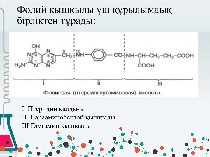 Фолий қышқылы үш құрылымдық бірліктен тұрады: I Птеридин қалдығы II Парааминобензой қышқылы III Глутамин қышқылы