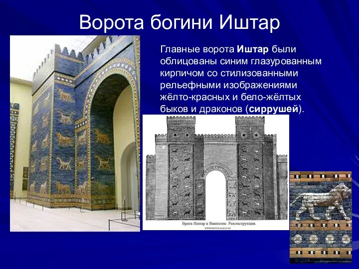 Ворота богини Иштар Главные ворота Иштар были облицованы синим глазурованным кирпичом со стилизованными