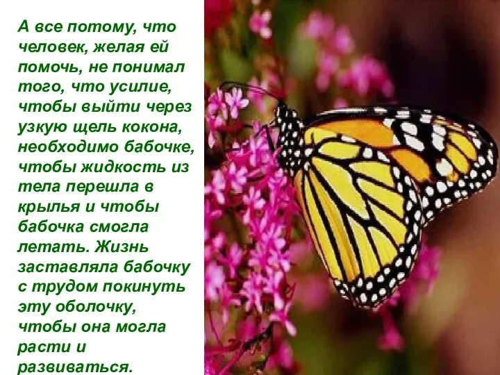 А все потому, что человек, желая ей помочь, не понимал