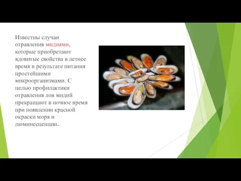 Известны случаи отравления мидиями, которые приобретают ядовитые свойства в летнее