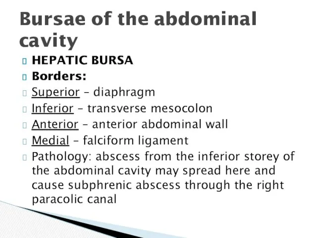 HEPATIC BURSA Borders: Superior – diaphragm Inferior – transverse mesocolon Anterior – anterior