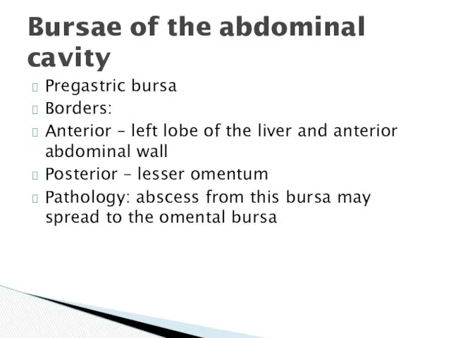 Pregastric bursa Borders: Anterior – left lobe of the liver and anterior abdominal