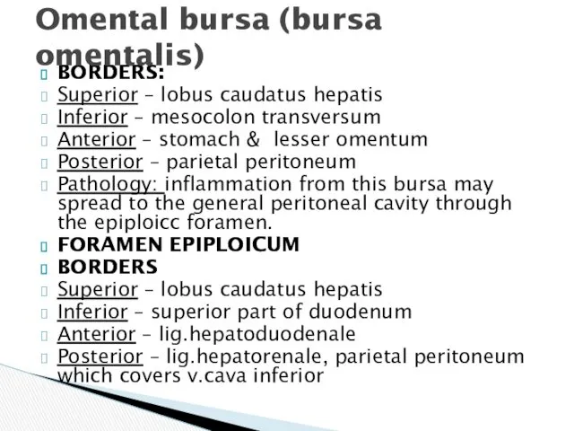 BORDERS: Superior – lobus caudatus hepatis Inferior – mesocolon transversum Anterior – stomach