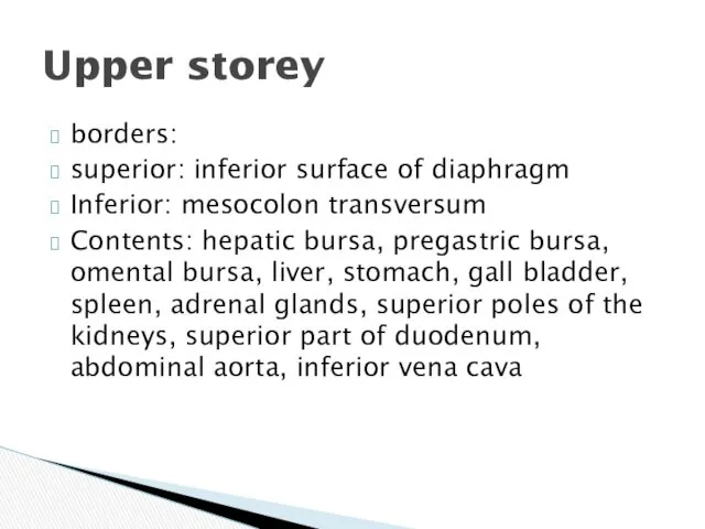 borders: superior: inferior surface of diaphragm Inferior: mesocolon transversum Contents: hepatic bursa, pregastric