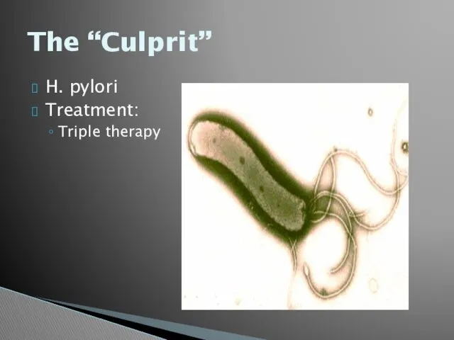 The “Culprit” H. pylori Treatment: Triple therapy