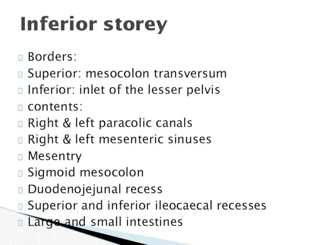 Borders: Superior: mesocolon transversum Inferior: inlet of the lesser pelvis