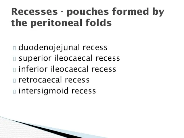 duodenojejunal recess superior ileocaecal recess inferior ileocaecal recess retrocaecal recess